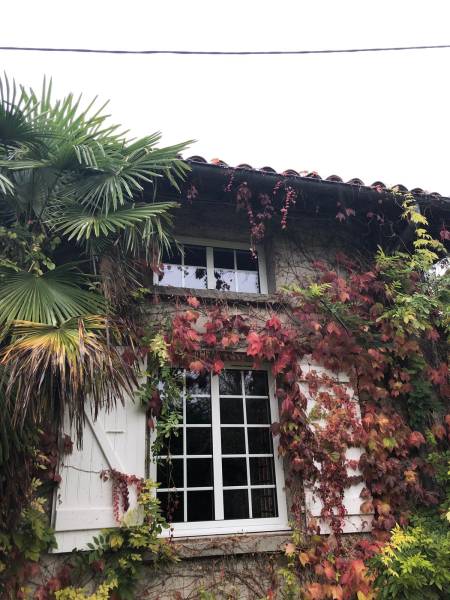 Rénovation de fenêtres et portes fenêtres cintrée alu/PVC à Saint-Orens-de-Gameville 31650 (Toulouse)