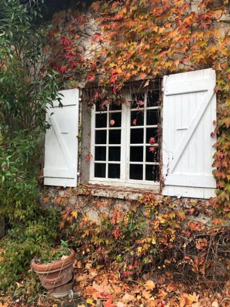 Rénovation de fenêtres et portes fenêtres cintrée alu/PVC à Saint-Orens-de-Gameville 31650 (Toulouse)